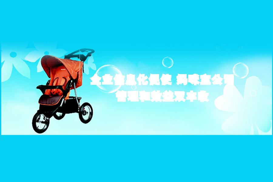 宁波妈咪宝公司ERP项目